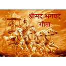 श्रीमद भगवद गीता - Shrimad Bhagwat Geeta in Hindi APK