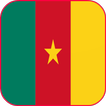 Cameroon Flag