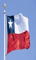 Chile Flag تصوير الشاشة 3