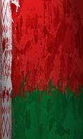 Belarus Flag screenshot 2