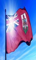 Bermuda Flag capture d'écran 3