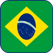 Brazil Flag