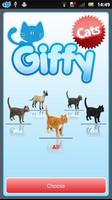 ★ Giffy Cats ★ ポスター