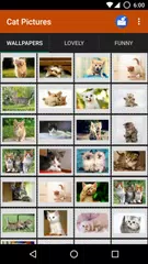 Cat wallpapers and funny pics APK download