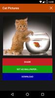 برنامه‌نما Gatos Fondos y fotos graciosas عکس از صفحه