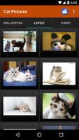 برنامه‌نما Gatos Fondos y fotos graciosas عکس از صفحه