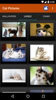 Gatos Fondos y fotos graciosas ภาพหน้าจอ 2