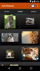 Cat wallpapers and funny pics APK download