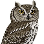 Tech Center, Career & Adult Ed