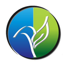 Новая школа APK
