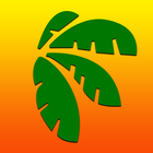Tropical Island Coffee & Cafe icon