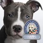 Talking Pit Bull Dogs with AFF icon