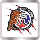 Team Tiger Martial Arts-icoon