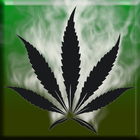 The Green Room icon