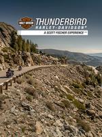 Thunderbird Cartaz