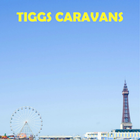 Tiggs Caravans أيقونة