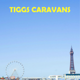Tiggs Caravans-icoon