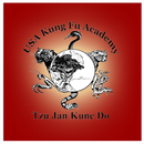 USA Kung Fu Academy APK