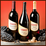 Valenzano Winery أيقونة
