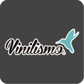 Vinilismo