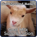 WalkAround Ranch