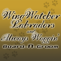 Wing Watchers