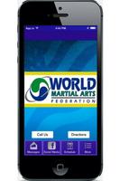 World Martial Arts 海报