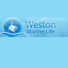 WML Shop icon