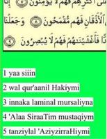 Yasin with Translation اسکرین شاٹ 3