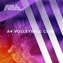 A4 Volleyball APK