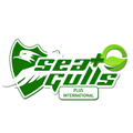 SEAGULLS PLUS INTERNATIONAL