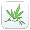 Marijuana Dispensary Colorado