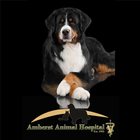ikon Amherst Animal Hospital