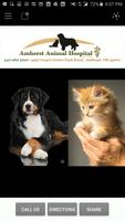Poster Amherst Animal Hospital