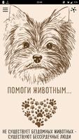 Кот и Пес plakat