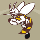 Aspley Hornet icon