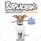 Honden asiel Sphoek icono