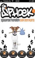 Poster Honden asiel Sphoek