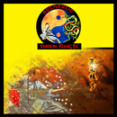 Authentic Shaolin Kung Fu APK