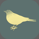 The Mockingbird APK