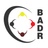 BADR APK