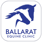 Ballarat Equine icon