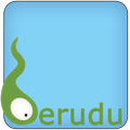 Berudu Party