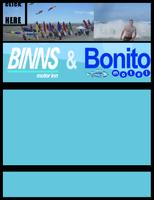 Binns and Bonito скриншот 3
