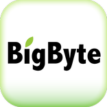 BigByte 大樹國際