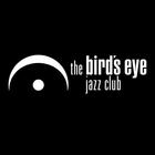 bird's eye icon