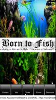 Born to Fish 海報