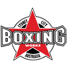 Boxing Works иконка