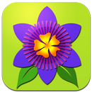 Bloemen Centrale Holland APK