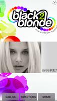 Black2Blonde Hair Supplies poster